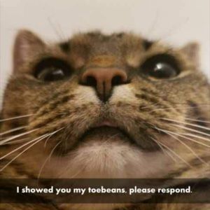 Meet your Posher, Camille